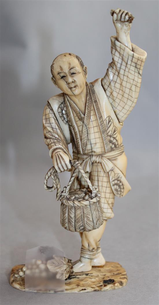 Japanese Meiji period ivory okimono of a grape picker, Meiji period, 17.2cm, faults(-)